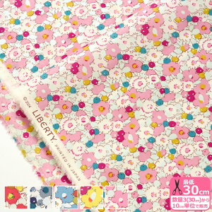 y_tf[̓|Cg10{zyoeBEt@ubNXzOlivia/IrAi04-3634253P J24A J24B J24C J24D J24Ejԕ NX}X p[痿y^i[EnEzz 3(30cm)10cmP 6