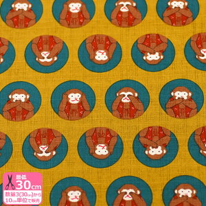 ~ɎOiTUNXj  킴  T  a a  aynEzz3(30cm)10cmP