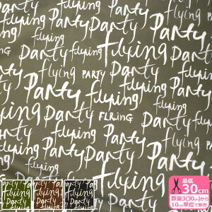 y_tf[̓|Cg10{zAt@xbg iCIbNX p iCn iCynEzz122318400 3(30cm)10cmP 4561