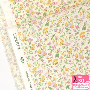 y}\̓|Cg3{zyoeBEt@ubNXzIvetafs Garden/CF^YEK[f 24-157J913 24BU I[KjbN^i[ ԕ oeBynEzz 3(30cm)10cmP 8171