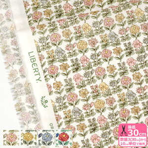 yoeBEt@ubNXzDavalia Flowers/_@AEt[Y 24-157J916 24AU 24BU 24CU 24DU I[KjbN^i[ ԕ oeBynEzz 3(30cm)10cmP 8171