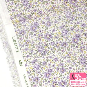 y}\̓|Cg3{zyoeBEt@ubNXzGemma Meadow/WF}EhD 24-157J923 24CU I[KjbN^i[ ԕ oeBynEzz 3(30cm)10cmP 8171