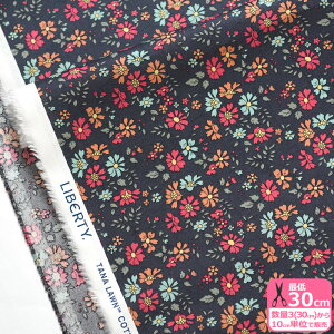 yX[p[SALE̓|Cg10{zyoeBEt@ubNXzCapel Floret/JyEt[bgi24-3634231 24AUjԕ Jyy^i[EnEzz 3(30cm)10cmP 4784