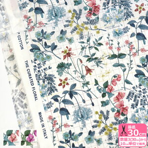 yoeBEt@ubNXzBotanistfs Journey/{^jXgYEW[j[i24-3634234 24AU 24CUjԕy^i[EnEzz 3(30cm)10cmP 4784