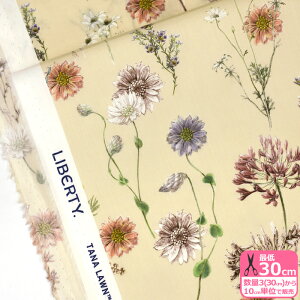 y}\̓|Cg2{zyoeBEt@ubNXzPolka Floral/|JEt[i24-363J4216 24BUjԕy^i[EnEzz 3(30cm)10cmP 5153