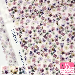 y_tf[̓|Cg10{zyoeBEt@ubNXzAustralian Daisy/I[XgAEfCW[i24-363J4220 24AU 24BU 24DUjԕ ʁy^i[EnEzz 3(30cm)10cmP