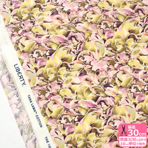 y}\̓|Cg3{zyoeBEt@ubNXzEfflorescence/Gt[V[Y 25-3635146 25CUy^i[EnEzz 3(30cm)10cmP 8522