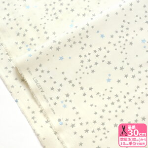 yX[p[SALE̓|Cg10{zyoeBEt@ubNXzNebulae/lr[i4775645P 24ATj NX}X p[痿y^i[EnEzz 3(30cm)10cmP 6406