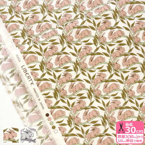 y}\̓|Cg3{zyoeBEt@ubNXzCotton Tail/RbgEeCi92-3332262 C Zj y^i[EnEzz 3(30cm)10cmP 3883