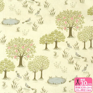 yX[p[SALE̓|Cg5{zyWords of forestzFruits Tree }JxAXfUCin[tlLoXjvgnynEzzACM-001-C 3(30cm)10cmP