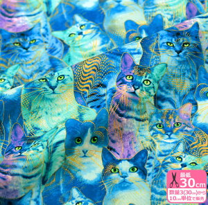 【数量3から】BIJOUX(コットンプリント)宝石のような猫柄【生地・布】CM2241 228204