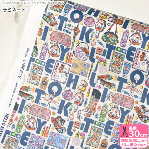 y}\̓|Cg3{zyoeBEt@ubNXz~l[g Hello Kitty Necessities/n[LeBElZVeB[YDC34426 n[LeBynEzz 3(30cm)10cmP 6089