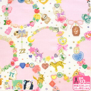 y22fabricz`[RN^[i60[re[WtB[j 60[ [  L lRynEzzDP-4435-4 3(30cm)10cmP 5214