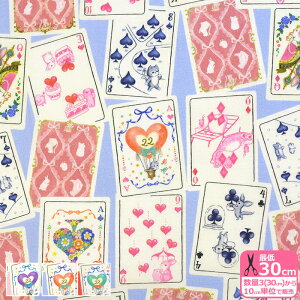 y}\̓|Cg3{zy22fabriczgvCgi60[re[WtB[j 60[ [  L lRynEzzDP-4435-5 3(30cm)10cmP 5214