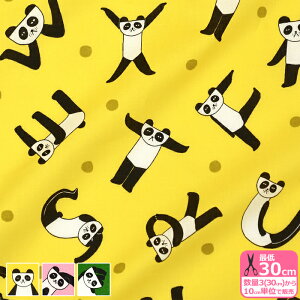 y}\̓|Cg3{zyemoemozp_vgiV[`Ojp_ At@xbg  GG _JގqynEzzEMP01 3(30cm)10cmP 374314