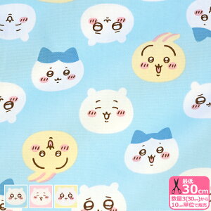 yztFCXiIbNXjn`  LN^[n IbNXn 畿ynEzzG-9931-1 3(30cm)10cmP