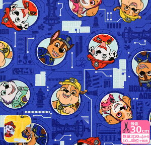 ypEEpg[zLN^[iIbNXjIbNXn pEpg  LN^[ LN^[nynEzz3(30cm)10cmP