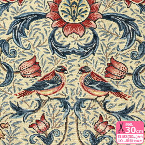 SuD t[o[h Su ԕ  I_ An  Sun SuD  Vg[ynEzzGB-BIRD10 3(30cm)10cmP