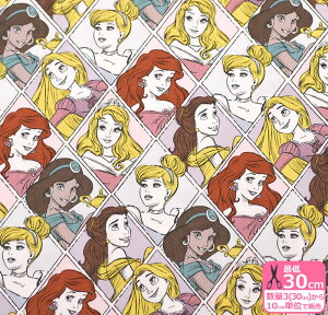 y}\̓|Cg3{zyfBYj[vZXz_ChiIbNXjIbNXn fBYj[ LN^[ LN^[nynEzz3(30cm)10cmP