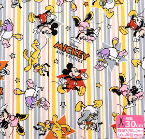 y~bL[tYzXgCviIbNXjIbNXn ~bL[}EX fBYj[ LN^[ LN^[nynEzz3(30cm)10cmP