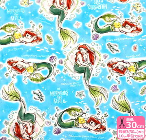 y}\̓|Cg2{zLgygE}[ChzAG LeBO g}[Ch fBYj[ LN^[ LN^[nynEzz3(30cm)10cmP