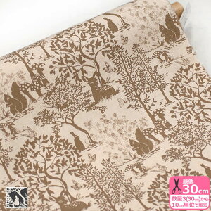oriȖLoXjX  Rbgl LoX VGbg A X  ynEzz3(30cm)10cmP