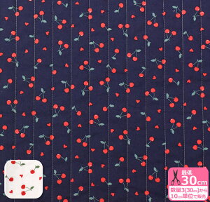 LgyCɓV[Yz`F[n[g  t[c LeBOn LeBO  Vv ynEzz3(30cm)10cmP