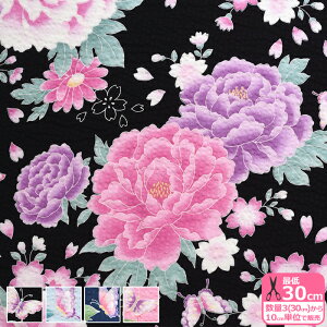 yCɓV[YSUMMERzXC[gt[ibvjlԂ⒱ bvn qynEzzMOWR-30 3(30cm)10cmP 374314