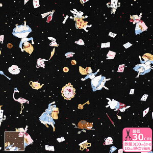 Little story ӂ̍̃AXiV[`OjV[`On koko seki w svc̍ b NC-051-2ynEzz3(30cm)10cmP 5530