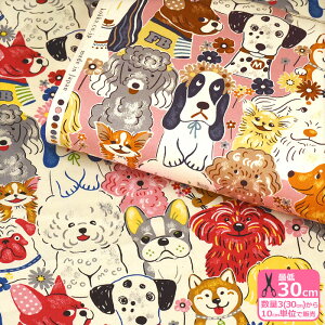 y}\̓|Cg3{zPowerful animal  iIbNXj ptAj}ynEzzKOKKA YGA-71000-2 3(30cm)10cmP