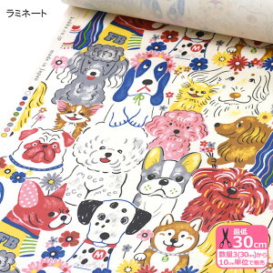 ~l[g Powerful animal  ptAj}ynEzzKOKKA YGL-71000-2 3(30cm)10cmP