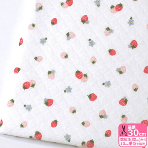 ڌjbgvg Xgx[ijbgj  䕕 Xgx[ ԕ  Lg ڌjbg jbgn vgn ynEzz1450-5 3(30cm)10cmP
