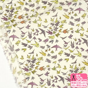 yoeBEt@ubNXzChoir of Flyers/NCAEIuEtC[Yi24-363J4202 24DUjChX~XYE_tE[hy^i[EnEzz 3(30cm)10cmP 6420 65126