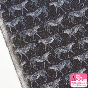 yoeBEt@ubNXzMeet the Cheetahs/~[gEUE`[^[Yi24-363J4210 24DUjChX~XYE_tE[hy^i[EnEzz 3(30cm)10cmP 6420 65126