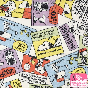 yXk[s[zSNVbNR~bNi|GXeIbNXjSNOOPY PEANUTS s[ibc `[[uE EbhXgbN CiX LN^[n |GXe IbNXnynEzz82