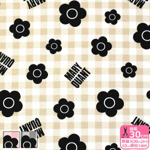 y}\̓|Cg3{zyMARY QUANTzMK`FbNiIbNXj}[Ng }[Ng }N fCW[ MK `FbN ԕ IbNXn RXeLX^C