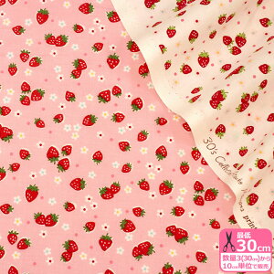 yX[p[SALE̓|Cg5{zyYUWAzCandy BerryiV[eBOj R֎q L֏X Xgx[ t[c gynEzzAT829862 3(30cm)10cmP 4233