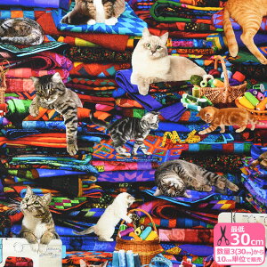 CATS ON QUILTS(USAコットン)猫柄 ネコ柄 猫 ネコ 裁縫 カラフルな柄 マルチカラー プリント生地 USAコットン生地 【生地・布】CAT-CD3080 数量3(30cm)から10cm単位 4382 228204