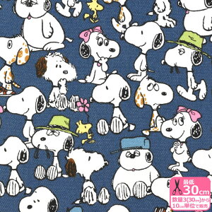 yXk[s[zs[ibc iTCcCjPEANUTS EbhXgbN XpCN It }[uX x AfB fj ȃ| D ȃ|Dn vgnynEzzG-3715-1 3(30cm)