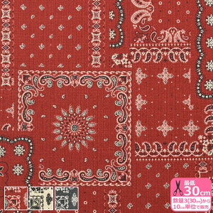 o_iiȖvyjo_i yCY[ yCY[ vy vgn Ȗ Ȗn ynEzzNFA-65990-991 3(30cm)10cmP