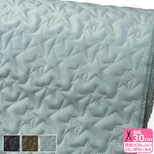 tFCNU[ X^[Lg ^Xeb` X^[  tFCNU[Lg Lgn Lg LeBOn LeBOynEzzQF226-STAR 3(30cm)10cmP 7935