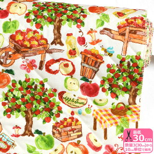 y_tf[̓|Cg10{zyRiconiczAbv̎nՁiLgjʕ 񂲕  S Abv egEV ~co` vgn LeBO Lgn LeB