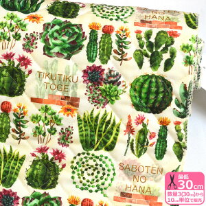 yubNtCf[̓|Cg5{zyRiconiczT{eYiLgjT{e T{e A ԕ O[ j[N vgn LeBO Lgn LeBOn yn