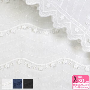 ght@ubN [XX^[ihイnj[[X [n tW hイ  X^[  [XnynEzzTF-74 3(30cm)10cmP