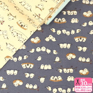 y}\̓|Cg3{zǂV}GiKiV[`OjV}GiK ̗d    kC V[`OnynEzzYKA-26040-2 3(30cm)10cmP