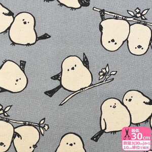 yX[p[Z[̓|Cg5{zyVvBAj}zV}GiKiȖLoXjV}GiK   傫ߕ  F i` Ȗ Rbgl vg