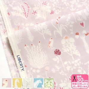 yoeBEt@ubNXzYoshie/VG 10-3630278 g[Of[V  ԕ n糗Ǐdy^i[EnEzz 3(30cm)10cmP 1727