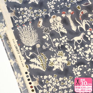 yoeBEt@ubNXzYoshie/VG10-3630278 AE  ԕ n糗Ǐd 邭ɂ邭y^i[EnEzz 3(30cm)10cmP