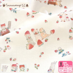 yRM̐X̐nzE݂Ăɂ񂱁i_uK[[j L lR L lR gRRM _uK[[n K[[ K[[nynEzz122321400-2 3(30cm)10cmP