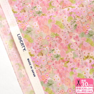 yoeBEt@ubNXzHollyhocks/z[zbNX22-363J6804 WE  ԕy^i[EnEzz 3(30cm)10cmP 9967